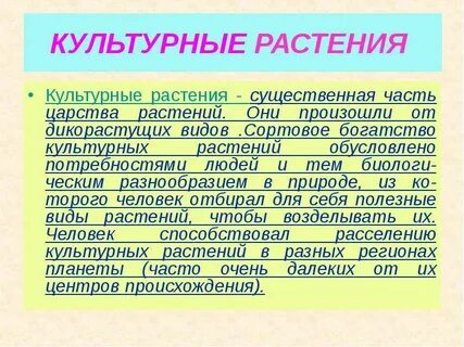 Все они произошли на