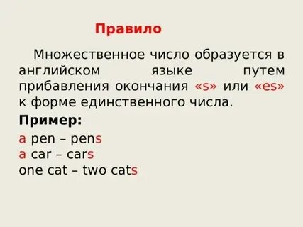 Ставни в множественном