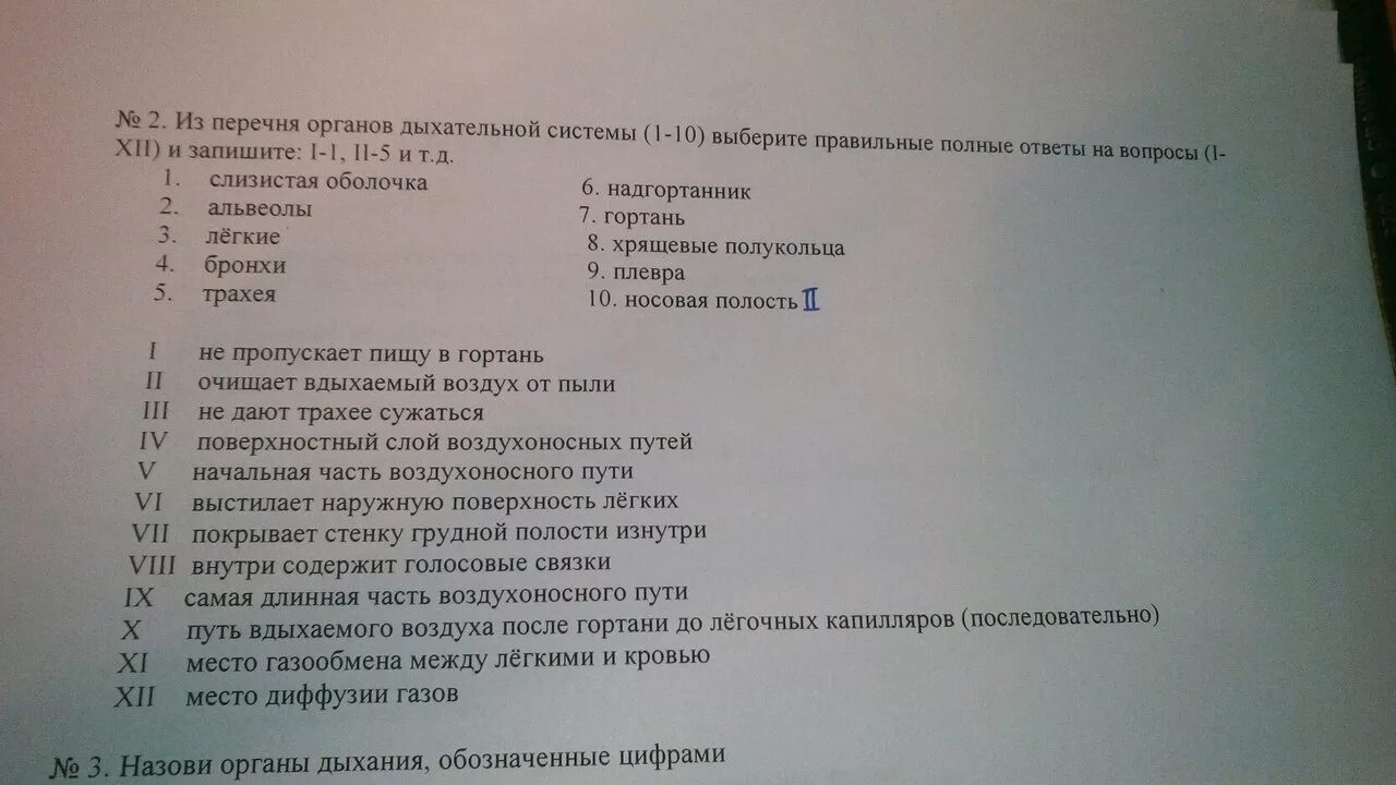 Тест легкие 8 класс. Из перечня органов дыхательной системы 1-10 выберите. Тестовые вопросы по дыхательной системе. Тест по биологии дыхательная система.