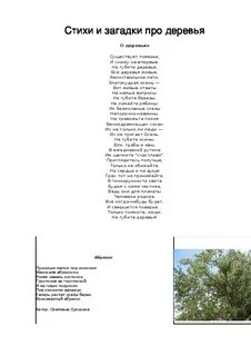 Стихи про деревья