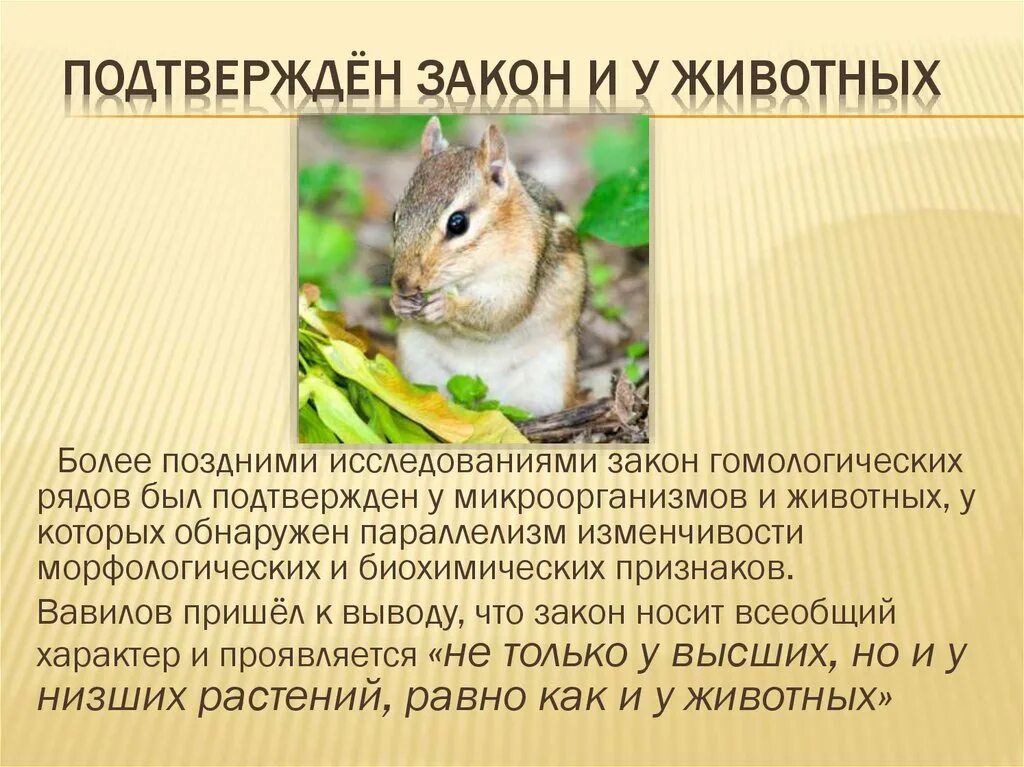 Закон гомологических рядов вавилова примеры Николай Вавилов