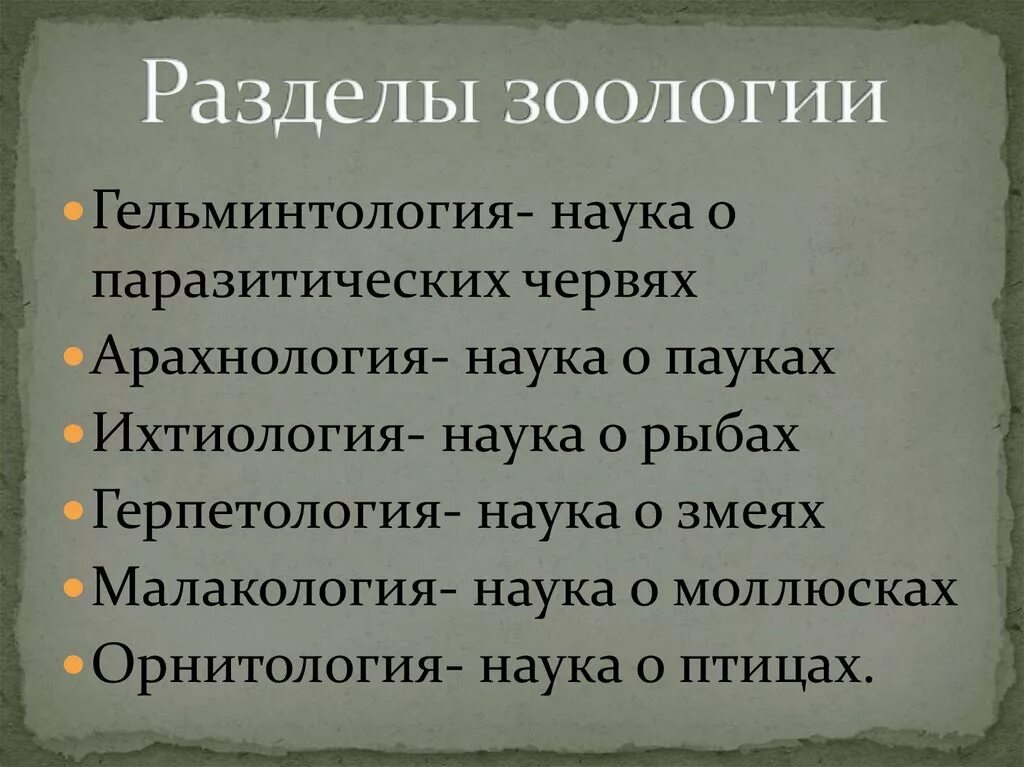 Орнитология 2 териология 3 герпетология 4 зоология. Разделы зоологии. Название разделов зоологии. Разделы зоологии таблица. Зоология схема разделы.