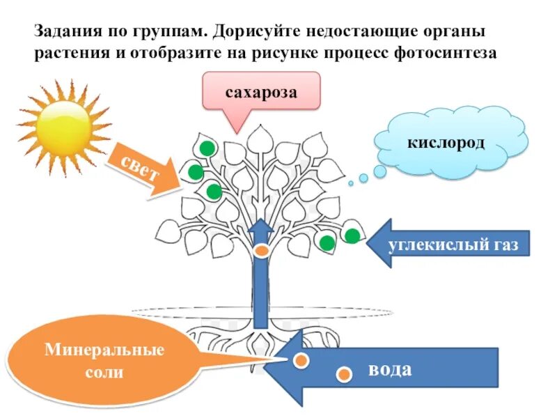 Углекислый газ вода углевод кислород. Вода и Минеральные соли растений. Минеральные вещества и углекислый ГАЗ. Кислород вода углекислый ГАЗ вода Минеральные соли. Минеральные соли для растений.