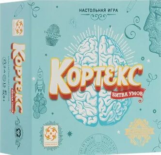 Кортекс