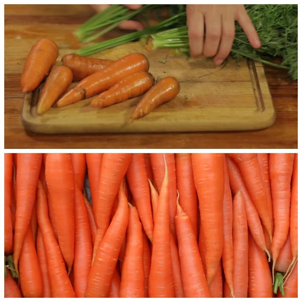 Как хранить морковь в квартире. Хранение моркови. Хранение морковки. Хранение моркови на зиму. Хранение моркови в полиэтиленовых мешках.