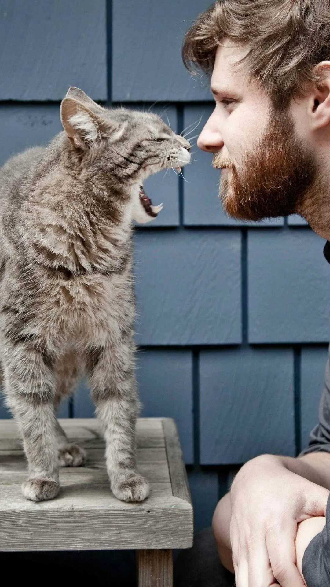 Котокафе котики и люди, москва. Котокафе в москве. 1 котики и люди. Котики и люди гиляровского 17. Кафе котики и люди на гиляровского.