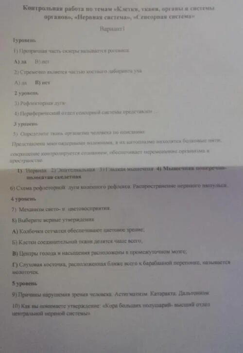 Организм контрольная работа биологии 9 класс. Контрольная работа клетка ткани органы системы органов. Проверочная работа по органы и системы органов. Проверочная работа по биологии по теме «нервная система». Контрольная работа по биологии клетки и ткани клетки.