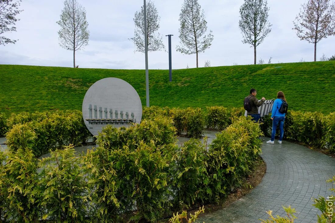 Черепахи в парке галицкого