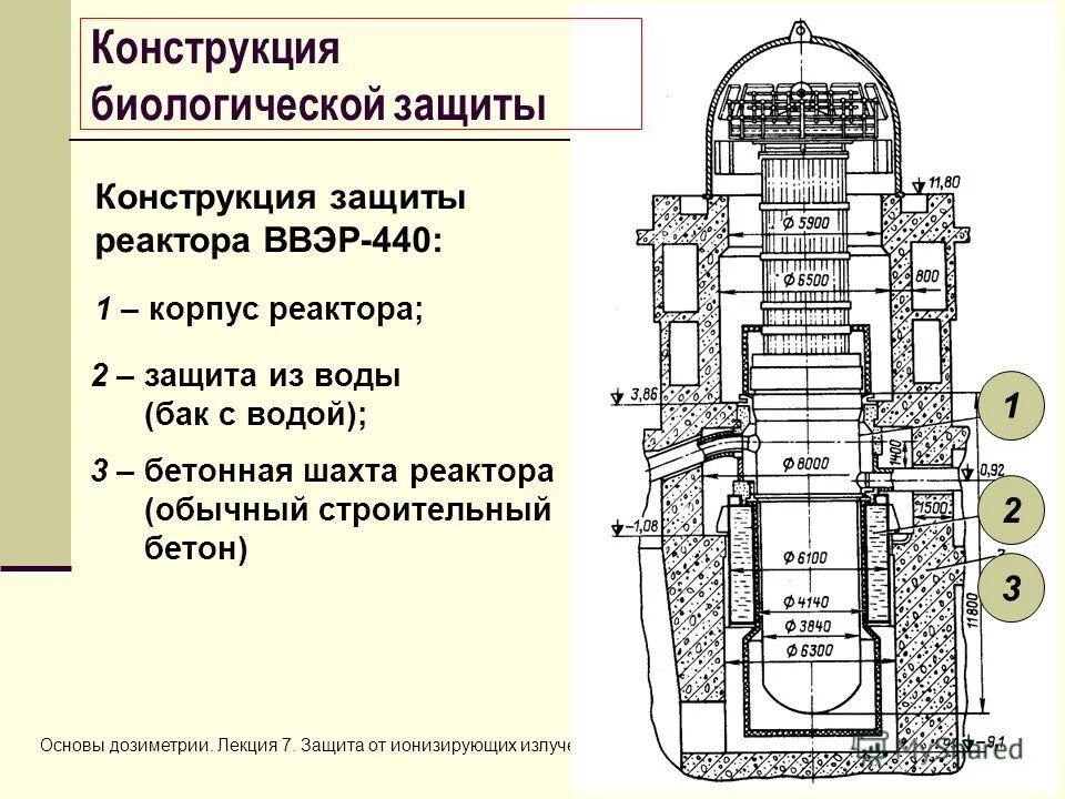 биологическая защита реактора ввэр-1200. конструкция биологической защиты. схема биологической защиты реактора. конструкция биологической защиты. строение реактора рбмк 1000.