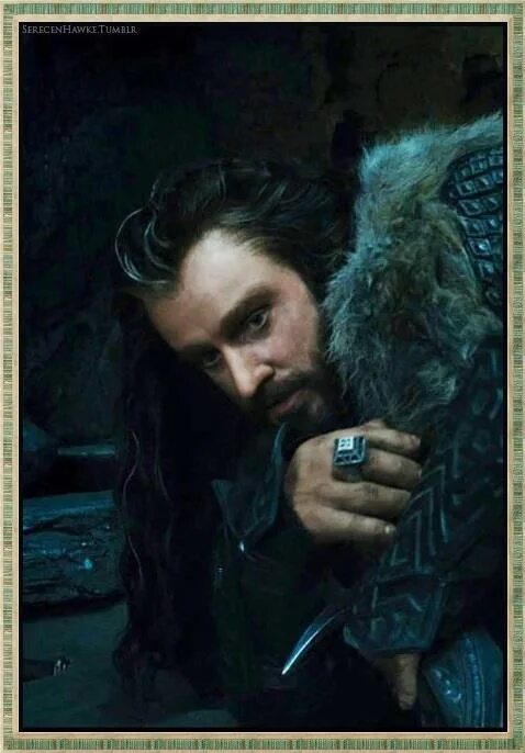 Торин дубощит и бильбо. Торин дубощит против арагорна. thorin oakenshield.