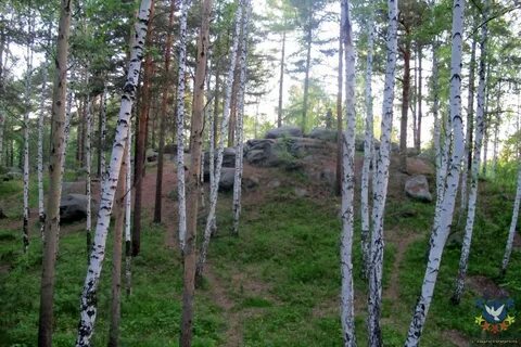 Палкино екатеринбург