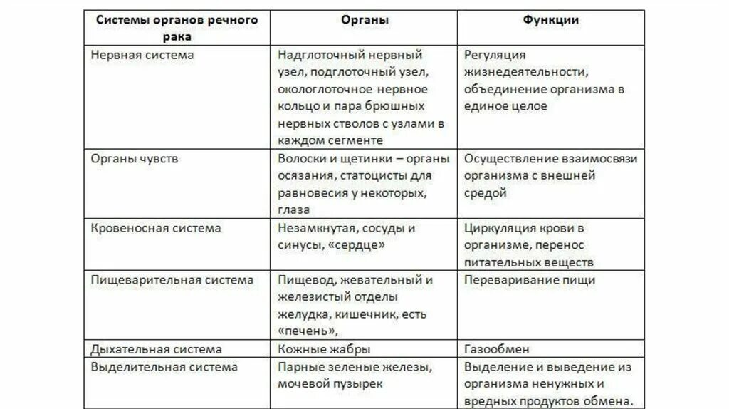 Таблица по биологии 7 класс ракообразные система органов. Системы органов ракообразных таблица 7 класс. Таблица системы органов ракообразных 7 класс биология. Органы пищеварения особенности строения и функции таблица.