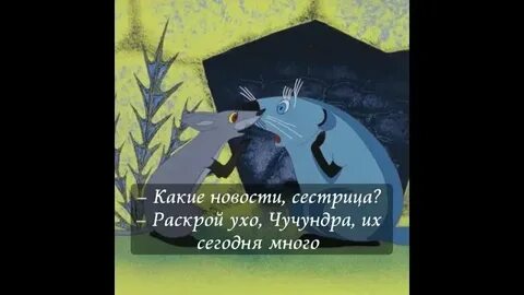 Раскрой ухо чучундра какой