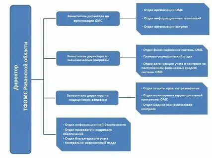 Контрольно ревизионные функции. Контрольно ревизионные функции