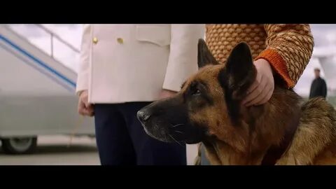 Пальма трейлер