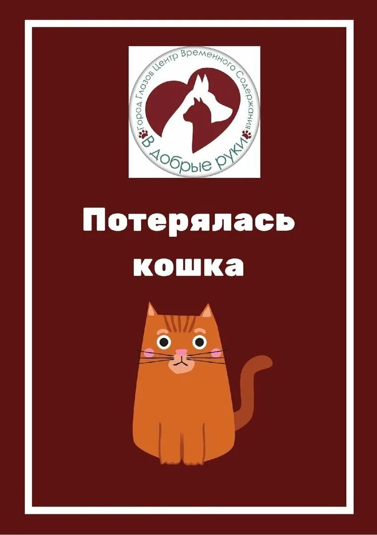 Включи коты нету