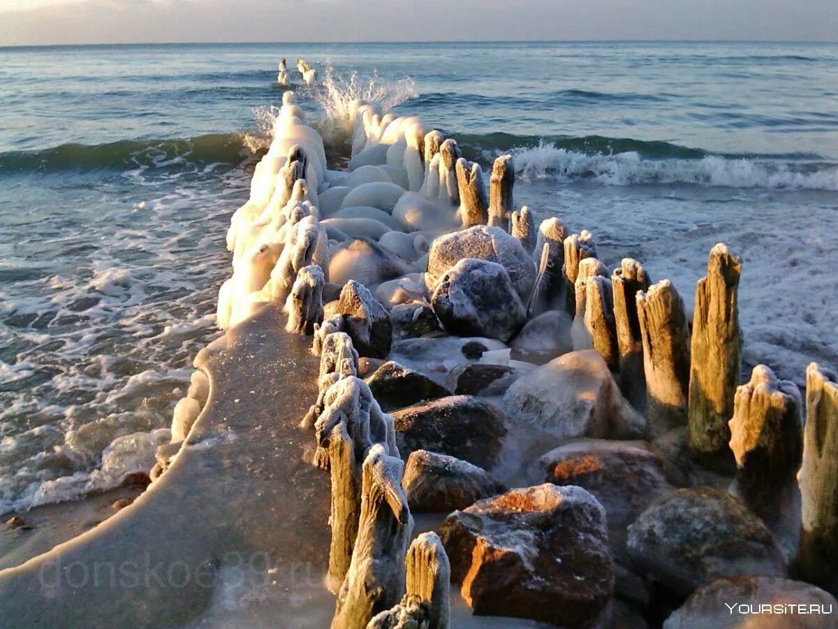 Зеленоградск крымская. Балтийское море Зеленоградск. Балтийское море Зеленоградск Калининград. Куршская коса волнорезы. Волнорезы в Зеленоградске.