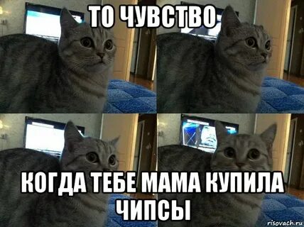 Че совсем