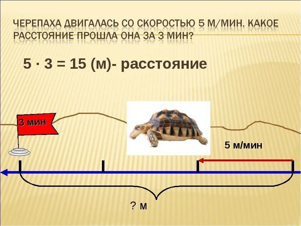 Скорость черепахи м/мин. Скорость черепахи. Скорость движения черепахи. Черепаха движется со скоростью.