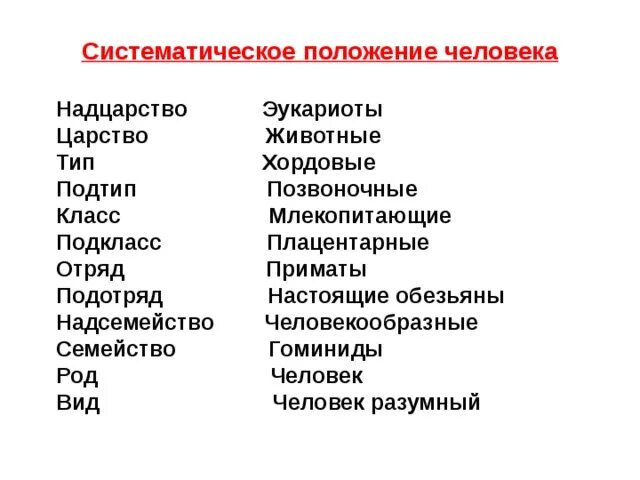 Определить систематическое положение человека. Человек Тип Подтип класс подкласс отряд. Систематическое положение человека царство Тип Подтип класс.