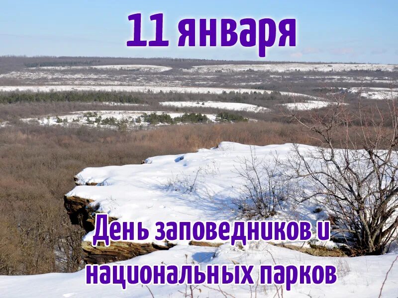 Россия 11 января