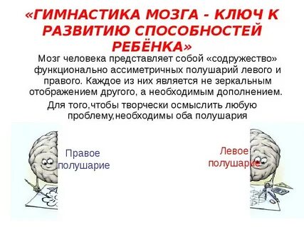 Развитие мозга левое и правое полушарие
