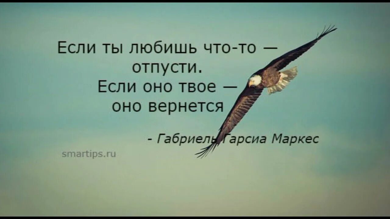 Отпустить цитаты. Отпускаю высказывания. Отпускай людей цитаты. Отпустив человека цитаты.