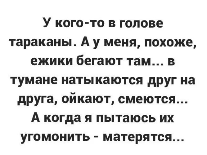 У кого то в голове тараканы а у меня ежики. Веселые тараканы в голове. У меня тараканы в голове. Поговорка тараканы в голове. Отсутствие тараканов в голове 11 букв