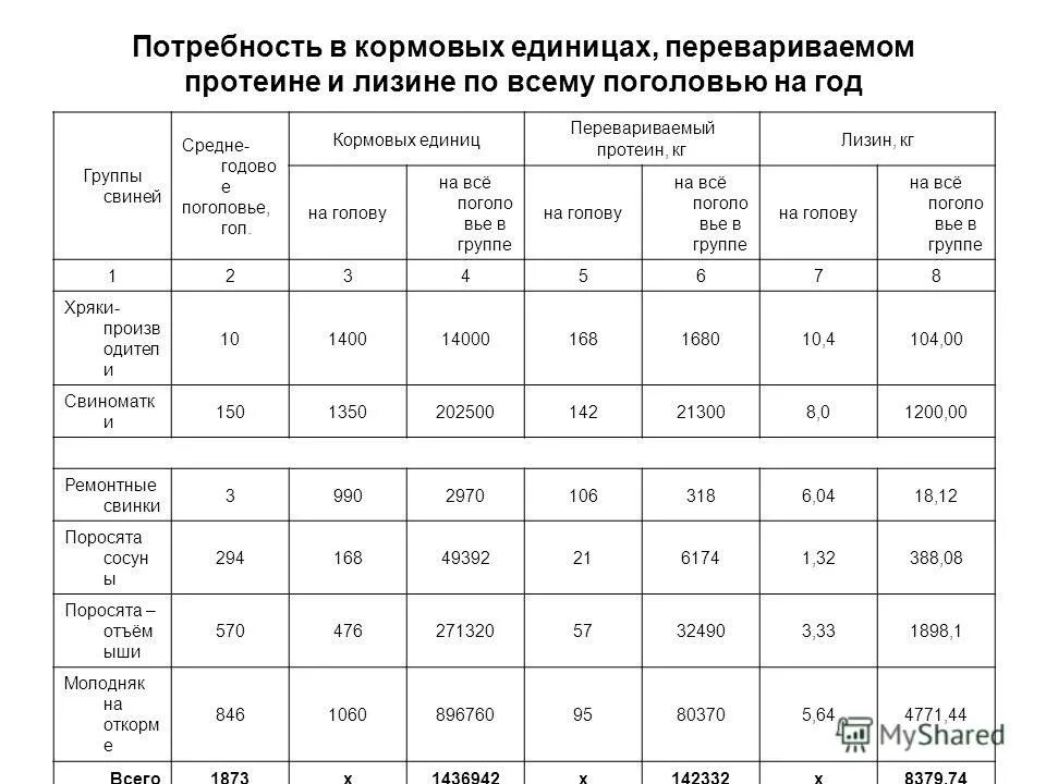 расписание движения автобусов кинешма наволоки. расписания наволоки станко. г кинешма расписание автобуса 1. расписание автобусов заволжск кинешма на сегодня 2021. расписание автобусов кинешма заволжск.