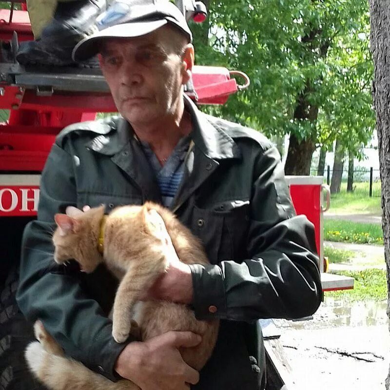 Спасение кота. Спасли кота. Пожарный спасает кота. Кошечки спасают