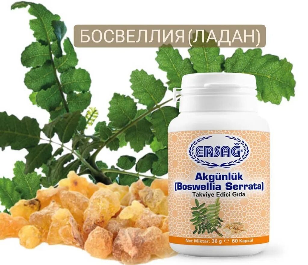 Босвеллия пильчатая. Босвеллия капсулы. Босвеллиевая кислота. Boswellia extract капсулы. Босвеллиевые кислоты.