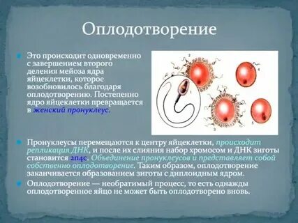 Что такое происходит у нас. Что такое происходит у нас