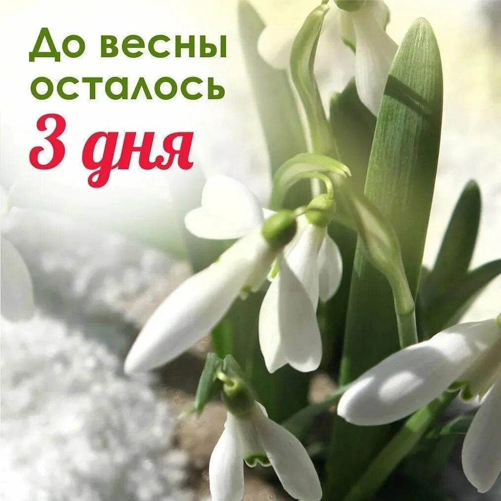 До весны осталось. 3 Дня до весны открытка. Несколько дней до весны. До весны 4 дня картинки