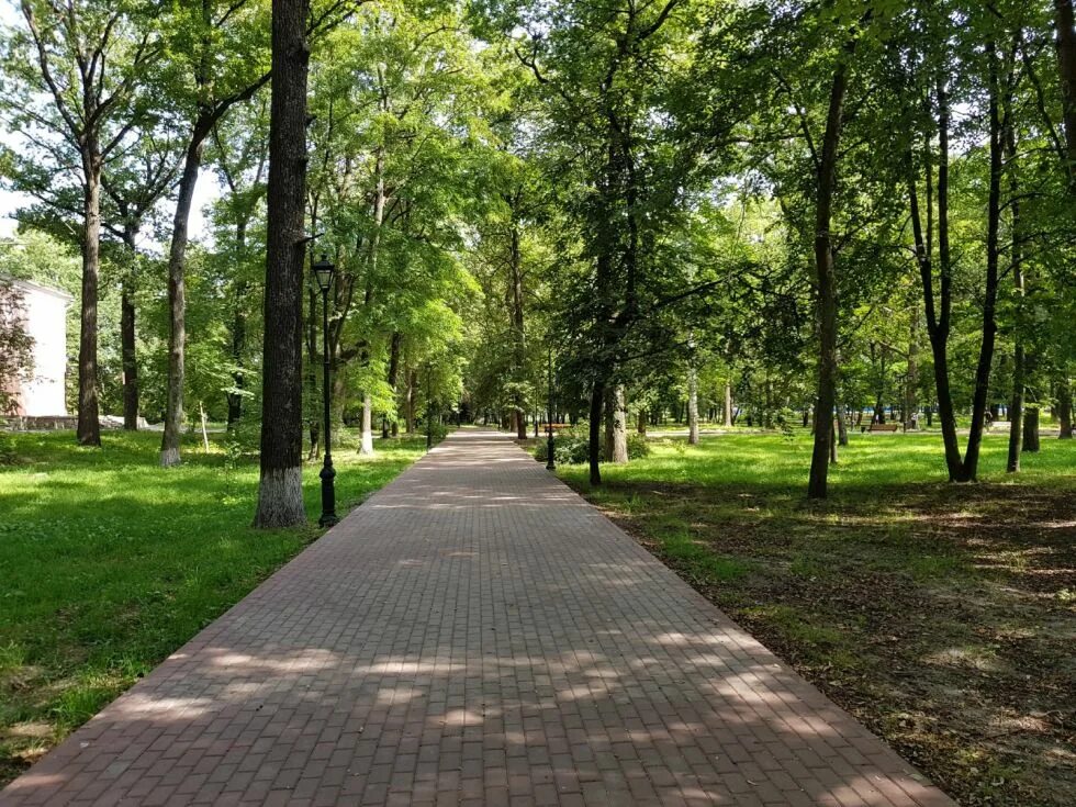 парк пушкина нижний новгород. парк им пушкина саранск. пушкина. парк пушкина саранск. горсад имени пушкина челябинск.