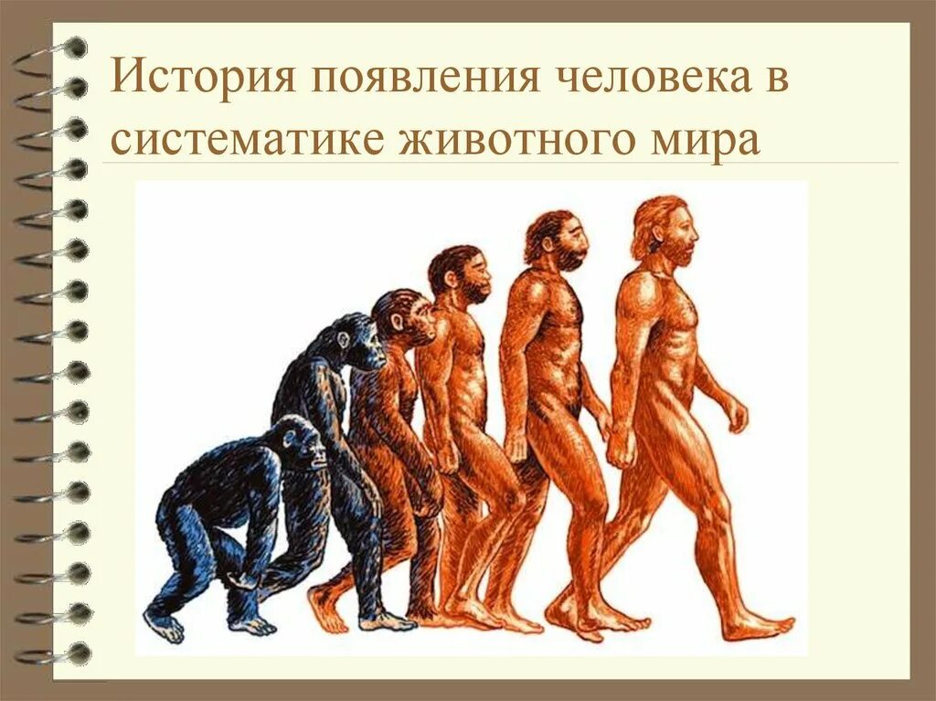 Хомо сапиенс сколько лет существует. История возникновения человека. Появление человека. Место возникновения человека. Происхождение человека.