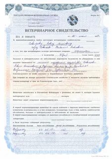 Срок ветеринарного сертификата