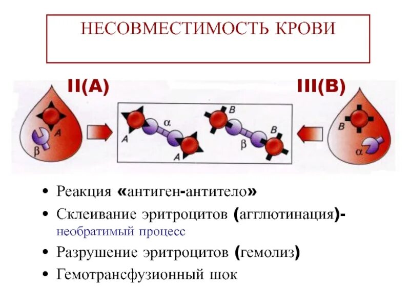 Гемолиз эритроцитов в крови. Иммунный гемолиз эритроцитов. Распад эритроцитов причины. Гемолиз разрушение эритроцитов. Иммунный гемолиз