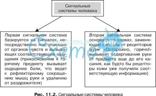 1 и 2 сигнальная система примеры Вторая сигнальная система схема