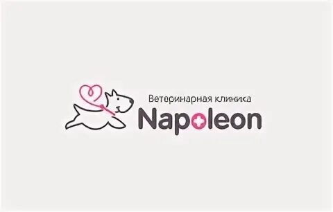 Администратор ветеринарной клиники. Наполеон ярославль ветеринарная. Кущ ветеринар волгоград. Наполеон ярославль ветеринарная. Наполеон ярославль ветеринарная.