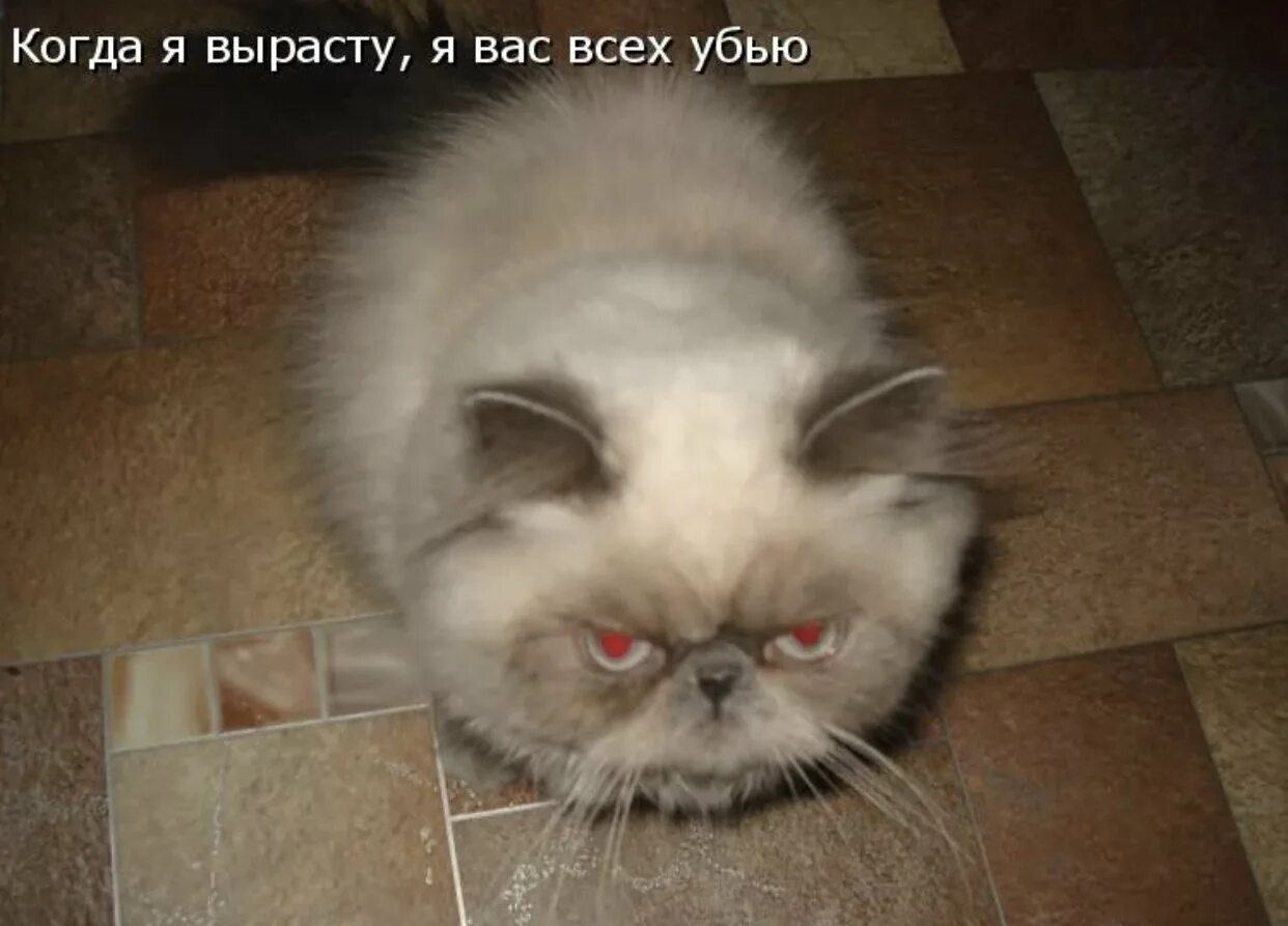 Ах ты убью. Я вырасту и убью тебя.