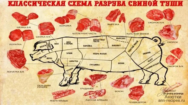 Части свиного мяса. Части свинины. Части свиньи. Название частей свинины. Свиные части мяса.
