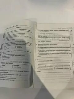 Человек личность 6 класс обществознание боголюбов фгос