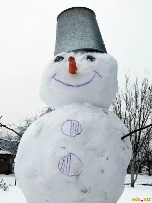 Смешные Снеговики. Морковка для снеговика. Нос морковка для снеговика. Ведро для снеговика. Картинка снеговики без морковок
