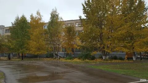 Школа 59 ярославль