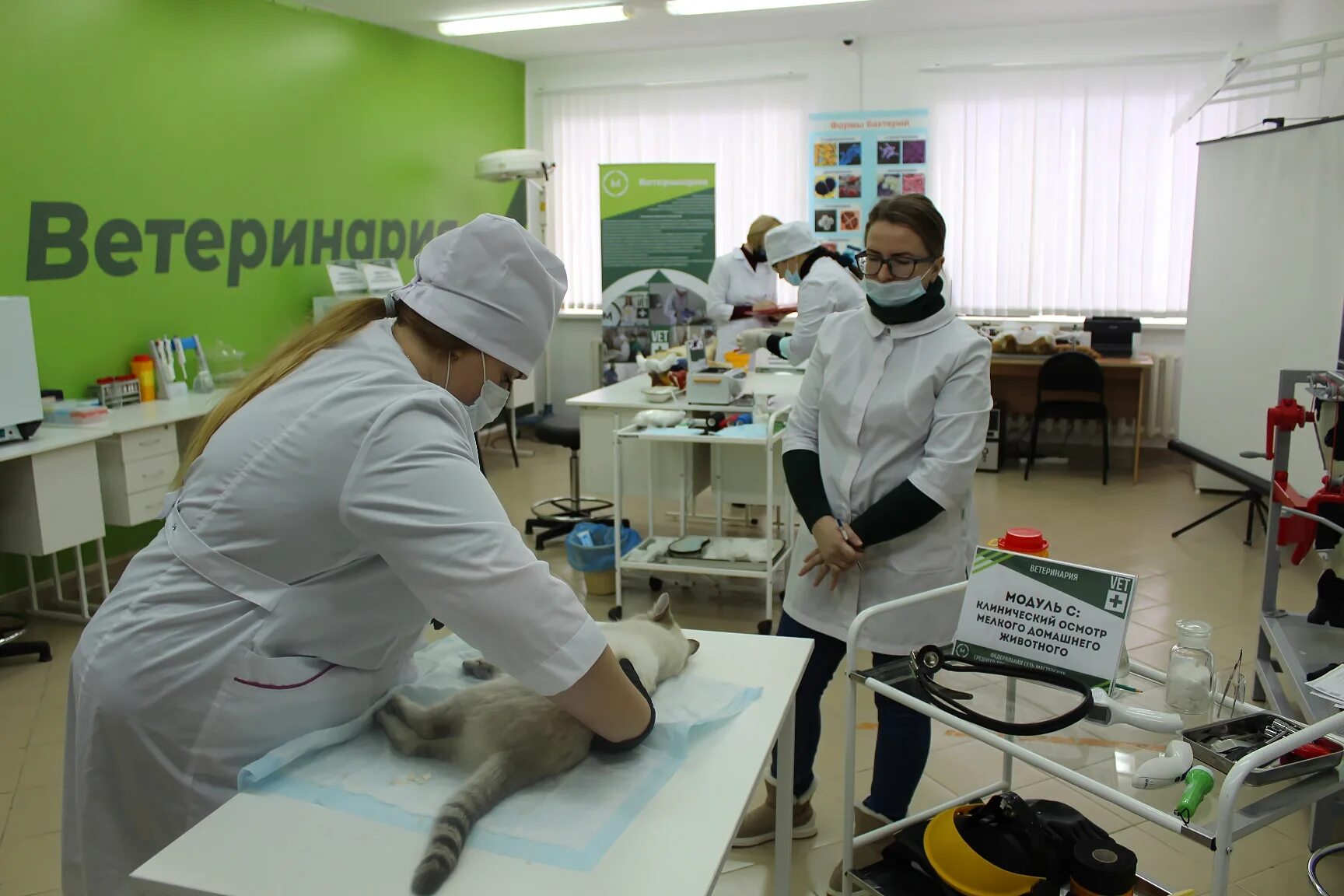 Аргаяш ветеринарный колледж. Ветеринарный колледж иваново. Бк кгу башантинский колледж. Агропромышленный колледж г. Дуванский колледж ветеринария.