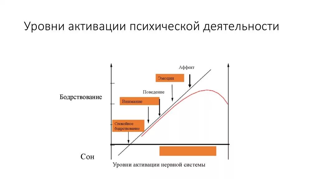 Уровни умственной деятельности. Уровень активации. Индивидуальный уровень активации. Уровни активизации. Уровни психологической активности