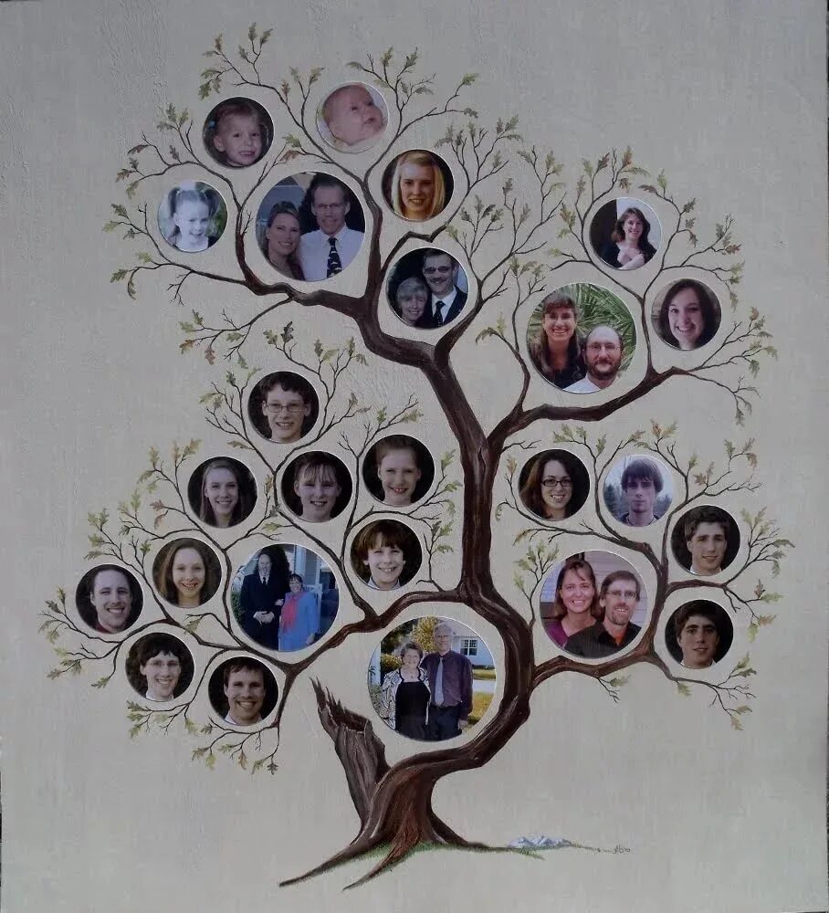 Генеалогическое Древо Family Tree. Фэмили Древо Фэмили генеалогическое. Древо Генио генеалогическое. Генеологичне дерево семьи.