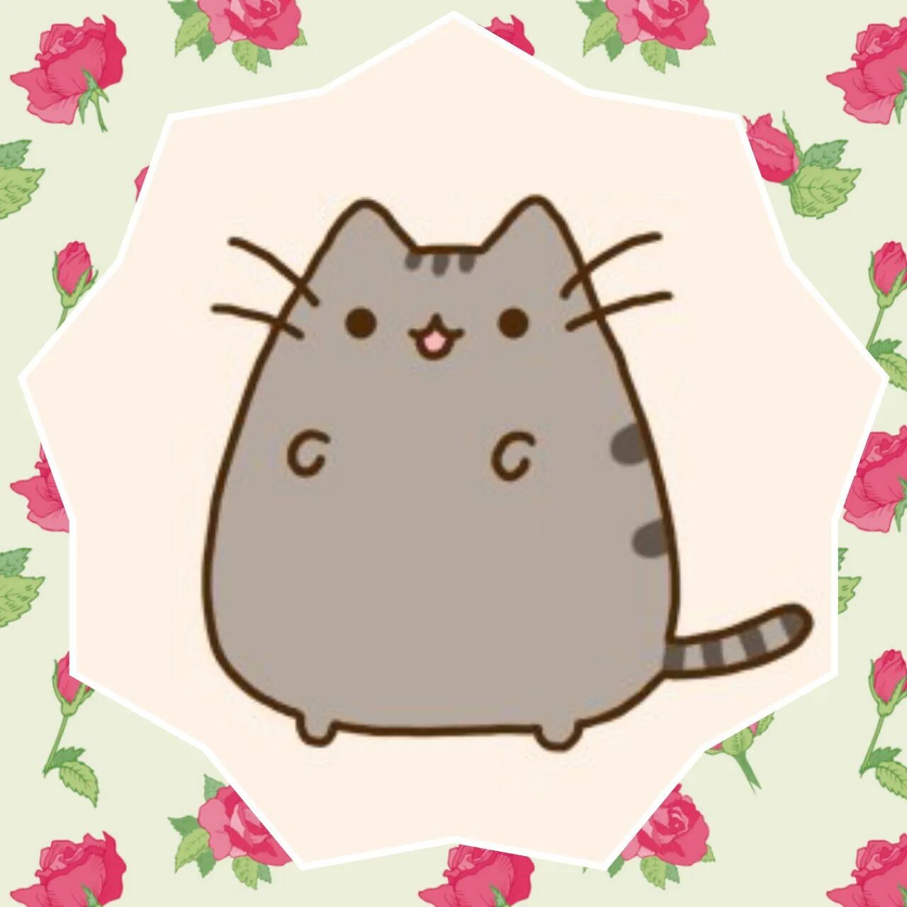 Картинки няшных котиков