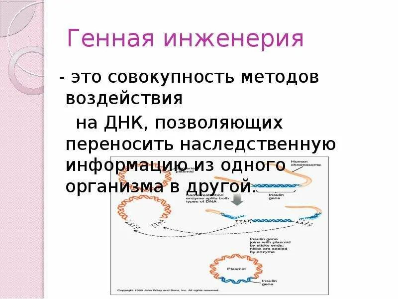 Совокупность методов воздействия на ДНК. Методы воздействия на ДНК. Селекция. Сьоукьуоа переносящая наследственную информацию. Наследственный перенос