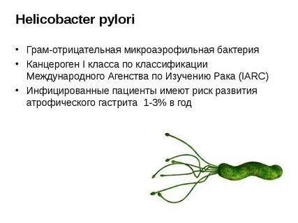 Разо хеликобактер